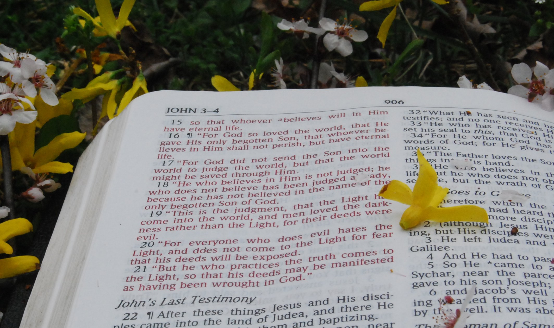 Pastor Peter Sprague